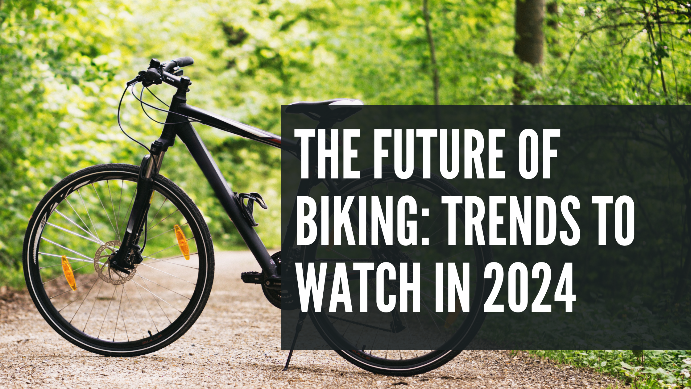 The Future of Biking: Trends to Watch in 2024