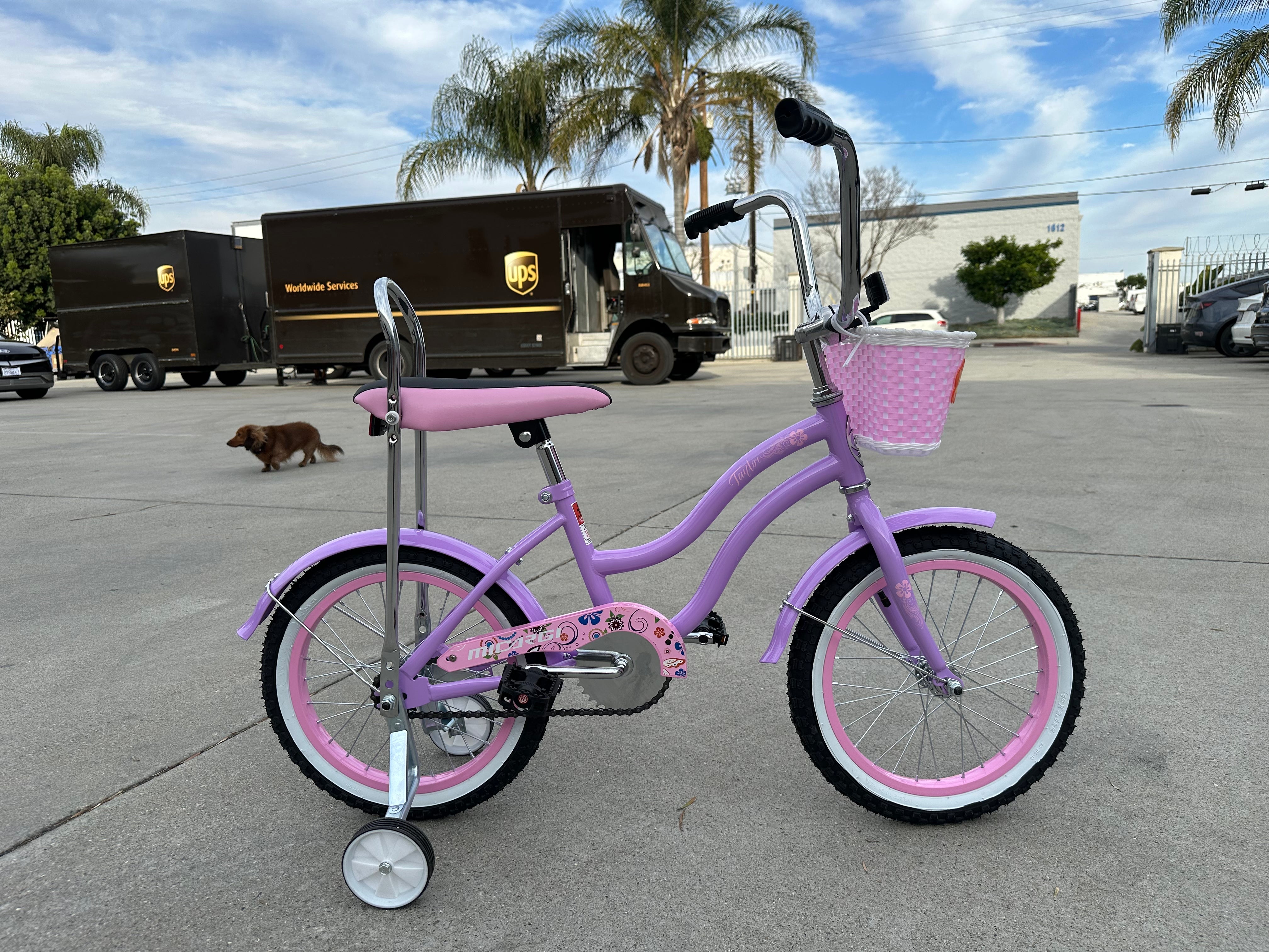 Micargi Taylor 16" 4-7-year-old Boy and Girls Bike Kids Bicycle - Chico USA, Inc.