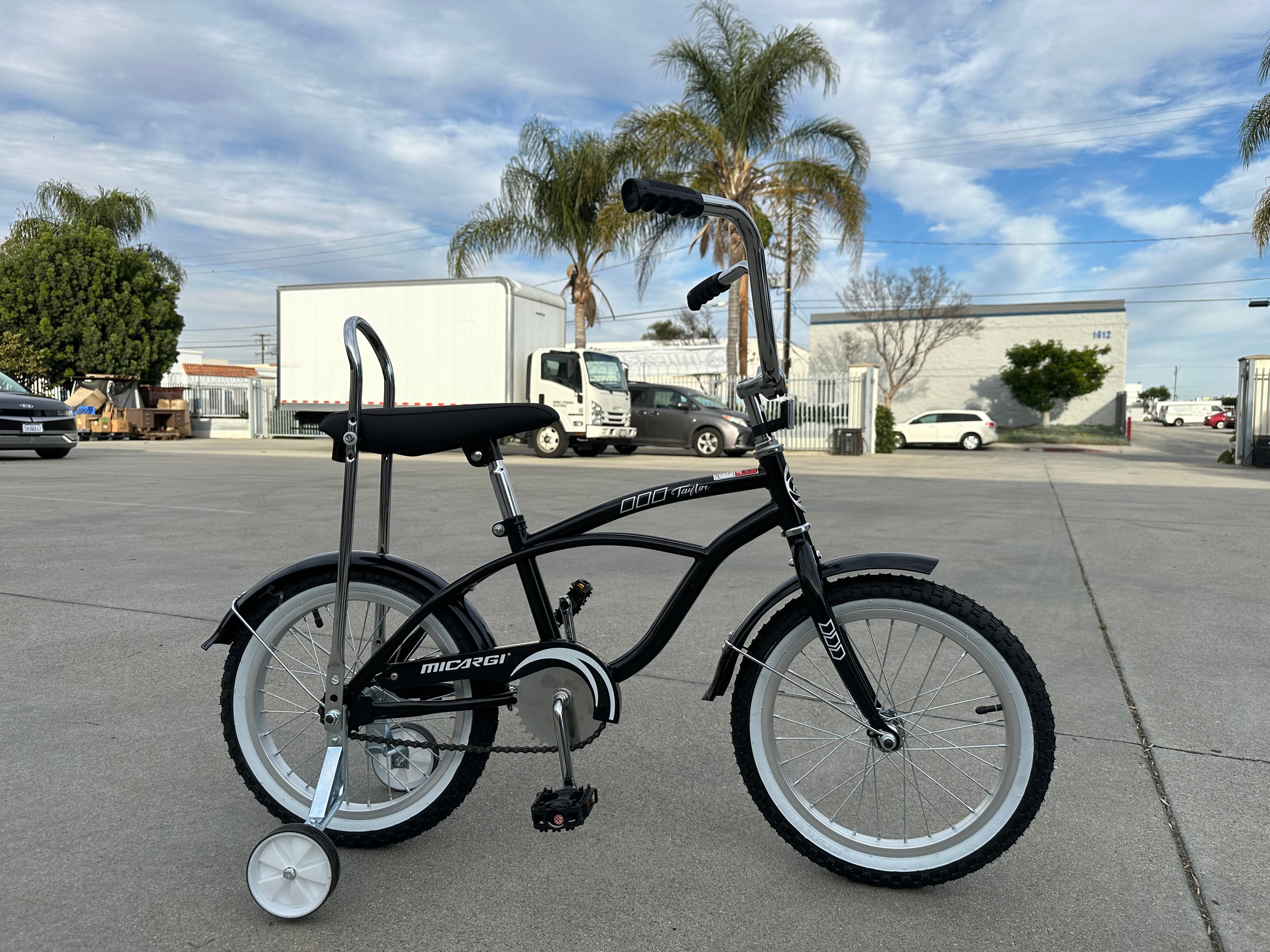 Micargi Taylor 16" 4-7-year-old Boy and Girls Bike Kids Bicycle - Chico USA, Inc.