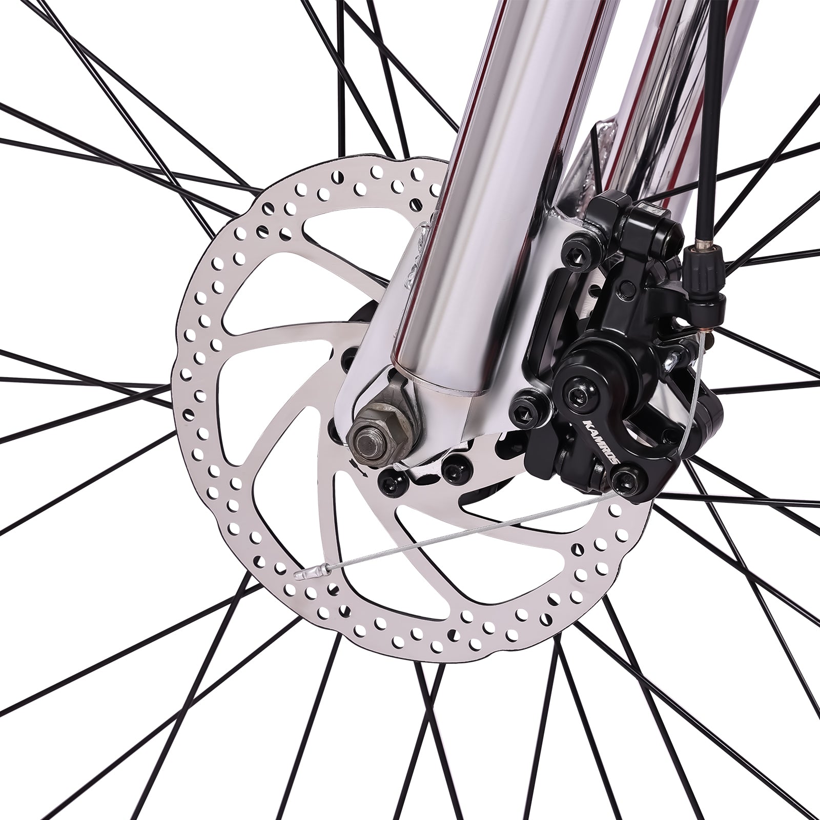 Micargi Largo GT7 29" 7-Speed Beach Cruiser Bike - Chico USA, Inc.