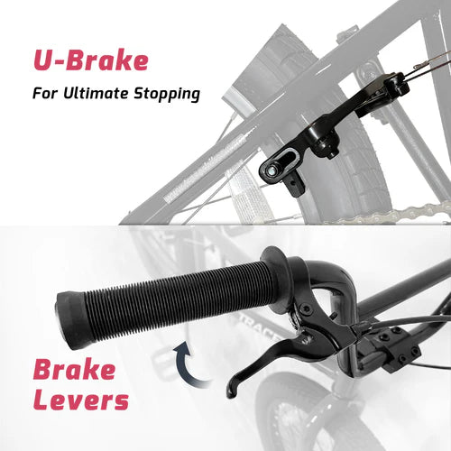 Tracer Bikes | Tracer Edge Freestyle 7.0 BMX Bike for Kids, Adults, and Beginners, 20-Inch Wheels |  Chico USA, Inc.