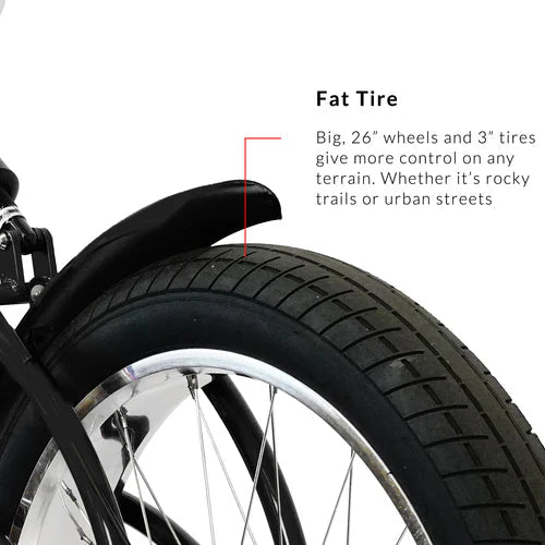 Tracer Bikes | Tracer Leopard 3i Pro Vintage Stretch Beach Cruiser Bike, Internal 3-Speed | Chico USA, Inc.