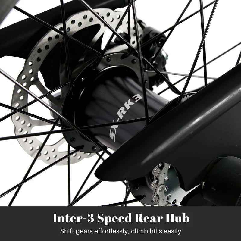 Tracer Bikes | Tracer Master 3i 20'' Internal 3-Speed Chopper Style Cruiser Bike with Fat Tires | Chico USA, Inc.