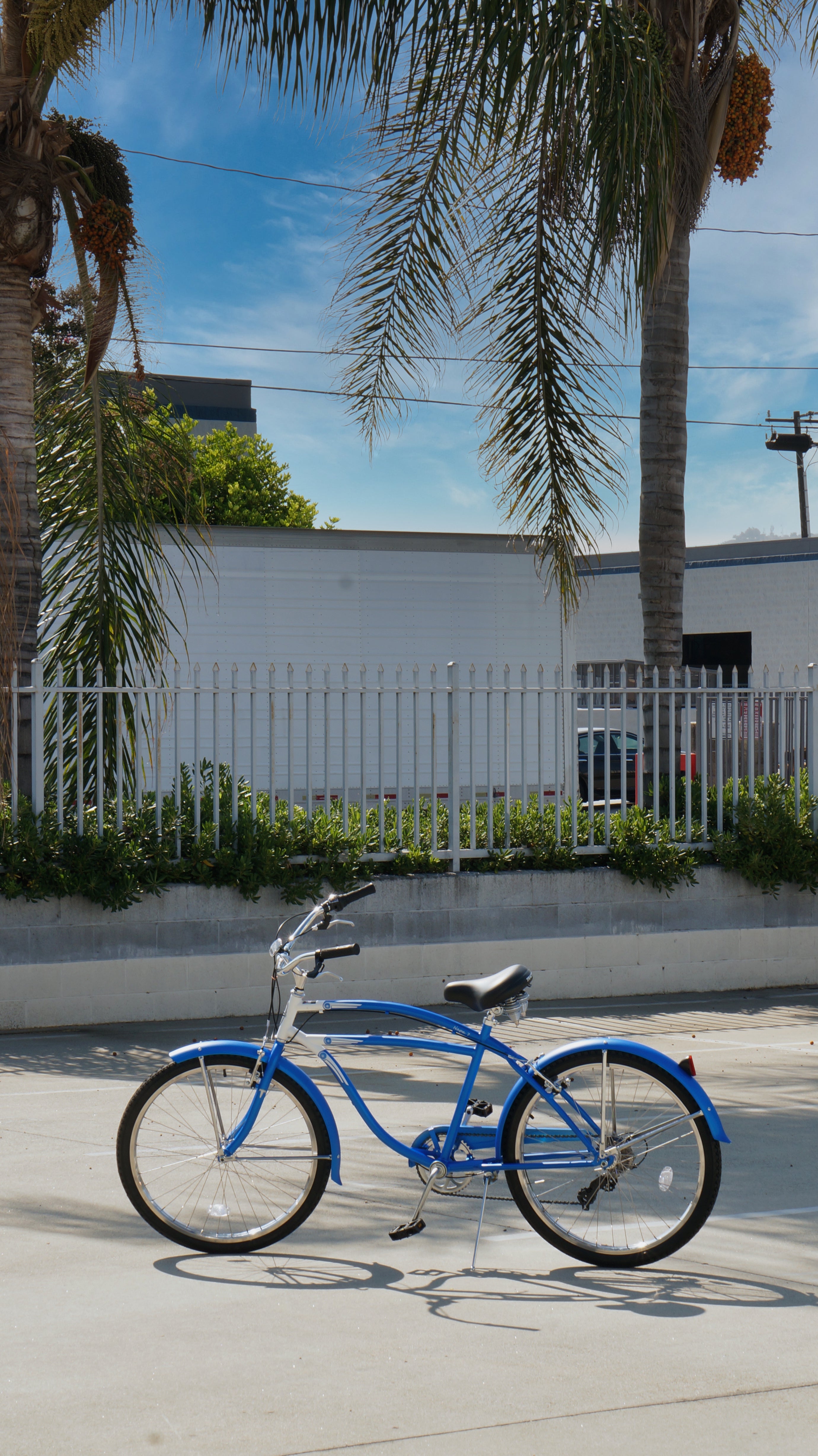 Tracer Bikes | Tracer Napa Cruiser Bike 7-Speed with Comfort Saddle and Steel Fenders | Chico USA, Inc.