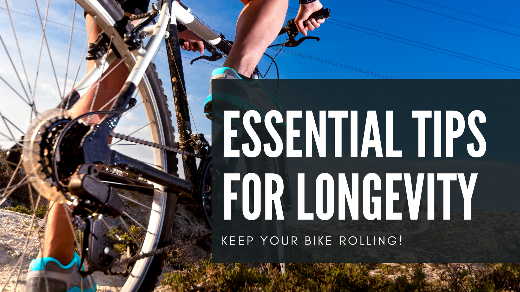 Keep Your Bike Rolling: Essential Tips for Longevity