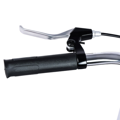 Micargi Largo GT7 29"  7-Speed Beach Cruiser Bike - Chico USA, Inc.