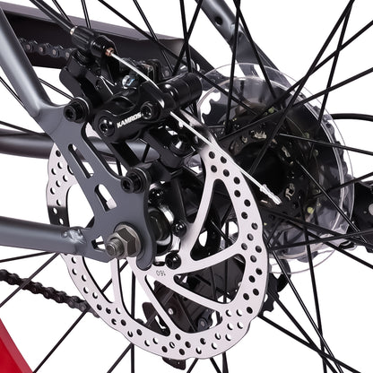 Micargi Largo GT7 29"  7-Speed Beach Cruiser Bike - Chico USA, Inc.
