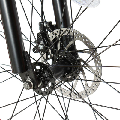 Tracer Bikes | Micargi Slugo Female Beach Cruiser Bike with Shimano 7-Speed Disc Brake |  Chico USA, Inc. 