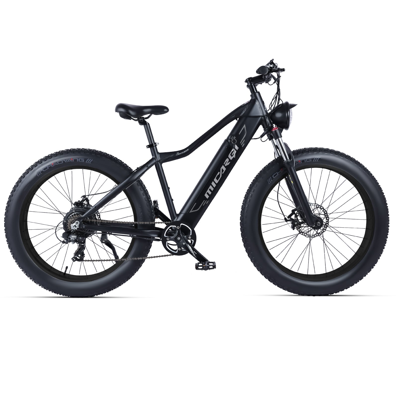 Micargi Steed Electric Mountain Bicycle with 800W Motor and Fat Tires - Chico USA, Inc.